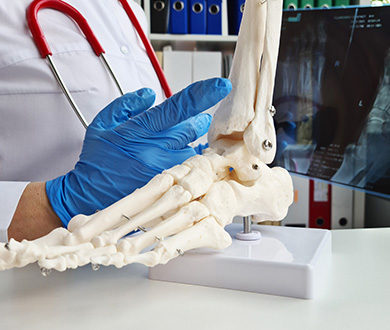 regenerative-medicine